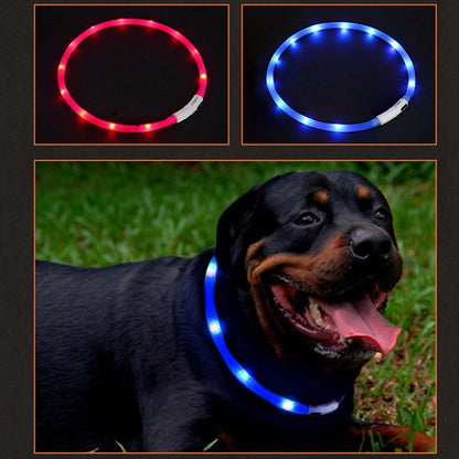 Led USB Dog Collar