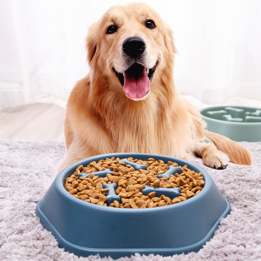 Pet Feeding Food Bowls