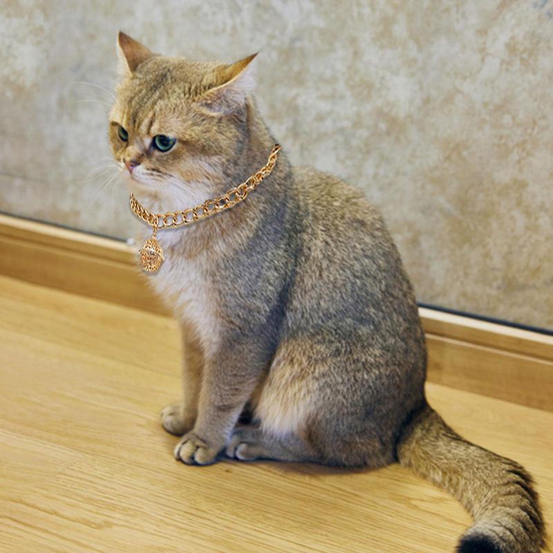 Pet Jewelry Chain Collars